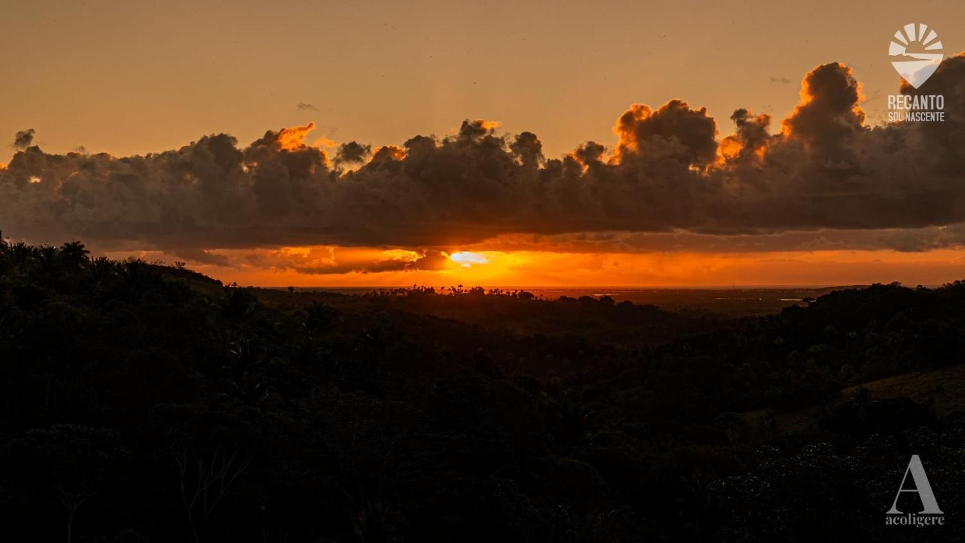 Rio Formoso Pousada Recanto Sol Nascente, Luxo E Proximidade Com A Natureza酒店 外观 照片