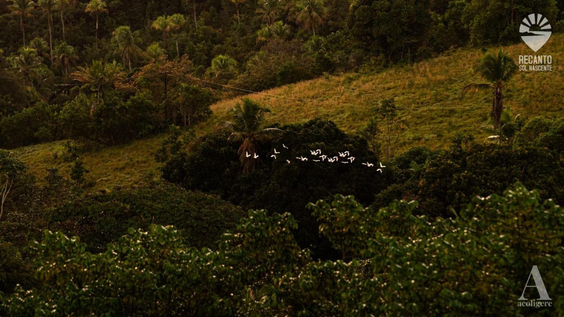 Rio Formoso Pousada Recanto Sol Nascente, Luxo E Proximidade Com A Natureza酒店 外观 照片