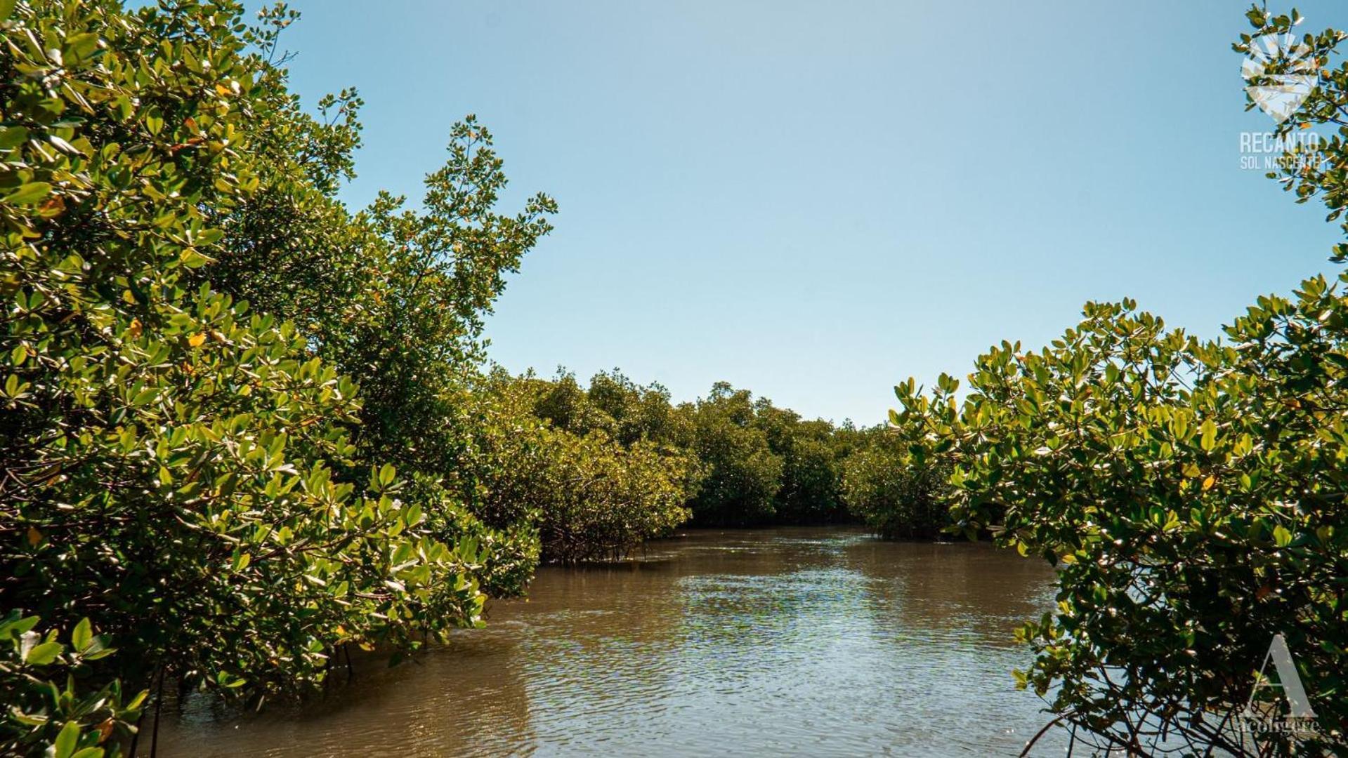 Rio Formoso Pousada Recanto Sol Nascente, Luxo E Proximidade Com A Natureza酒店 外观 照片