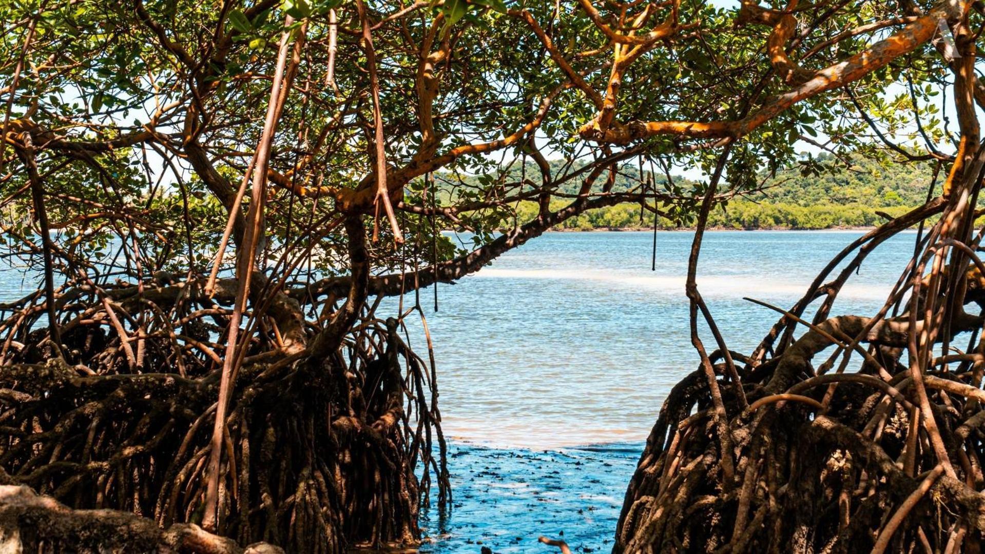 Rio Formoso Pousada Recanto Sol Nascente, Luxo E Proximidade Com A Natureza酒店 外观 照片