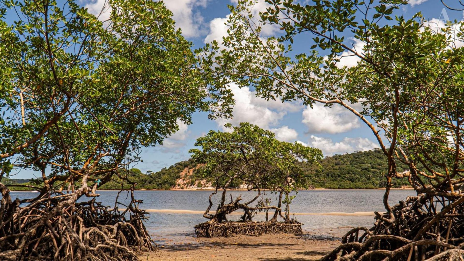 Rio Formoso Pousada Recanto Sol Nascente, Luxo E Proximidade Com A Natureza酒店 外观 照片
