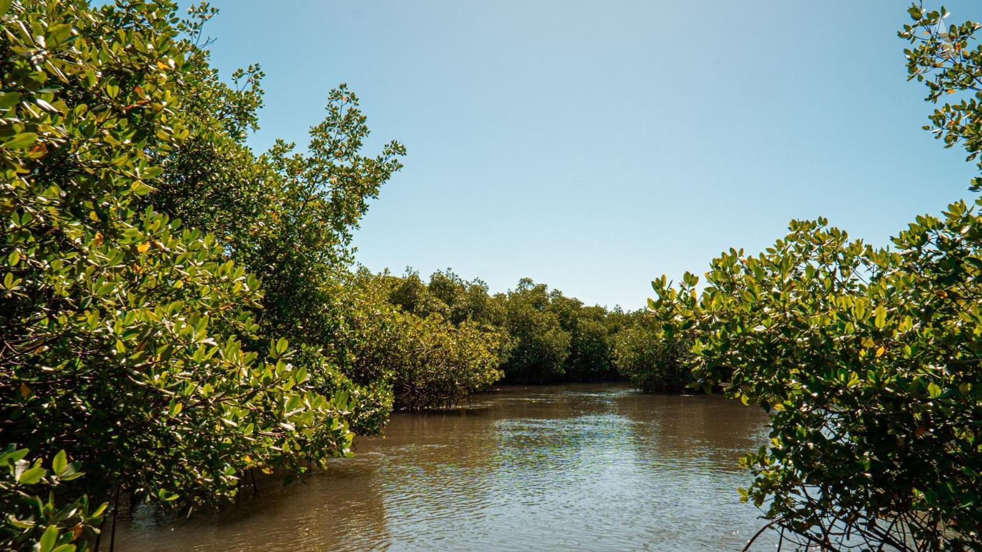 Rio Formoso Pousada Recanto Sol Nascente, Luxo E Proximidade Com A Natureza酒店 外观 照片