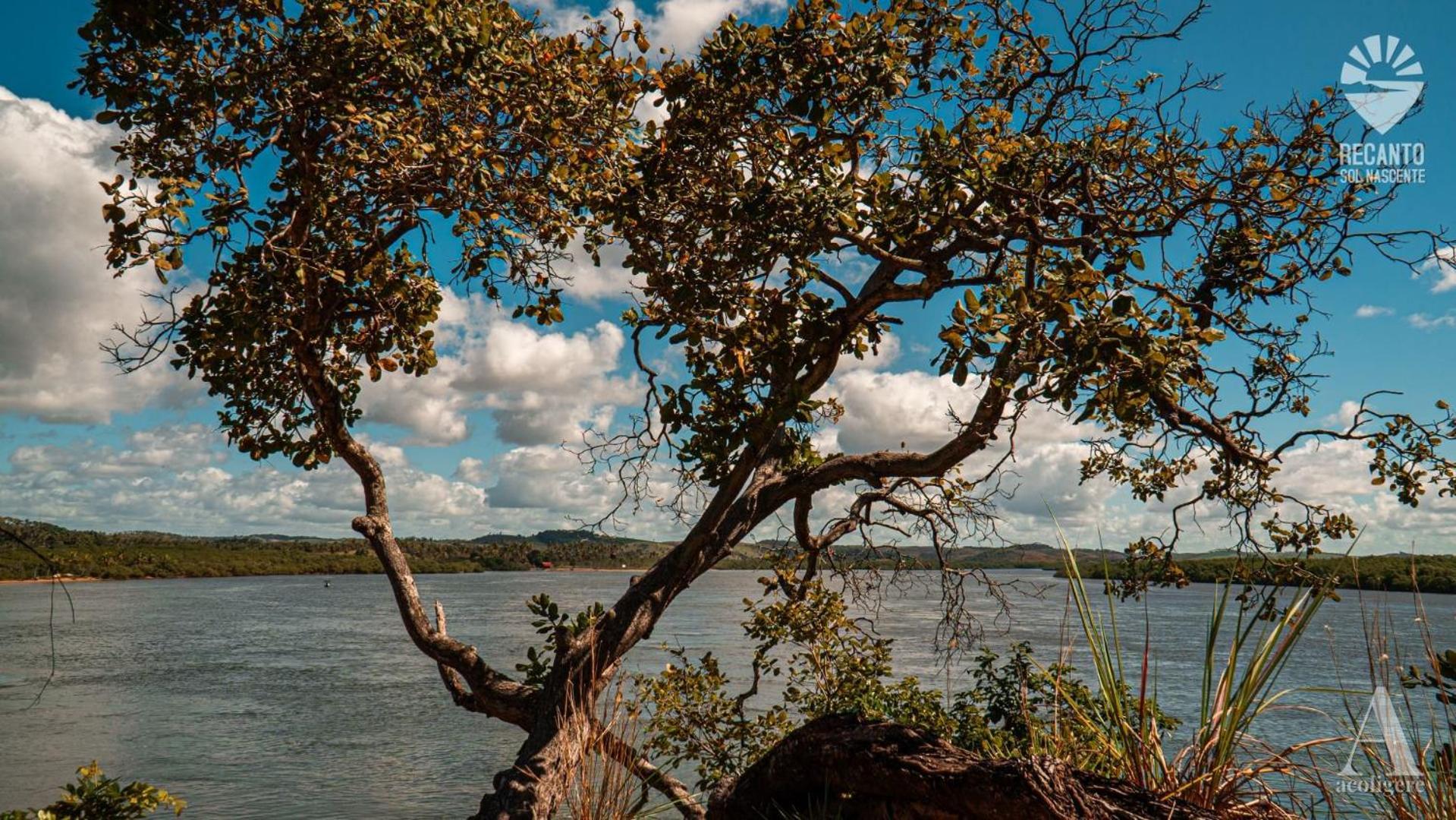 Rio Formoso Pousada Recanto Sol Nascente, Luxo E Proximidade Com A Natureza酒店 外观 照片
